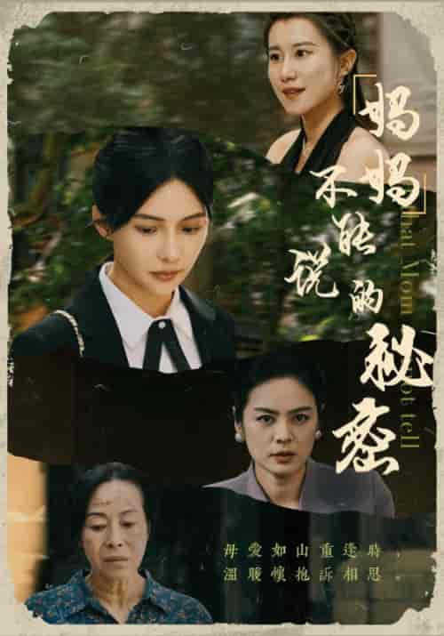 妈妈不能说的秘密（41集全）王念＆蒋蓉助理 - 傲图好剧