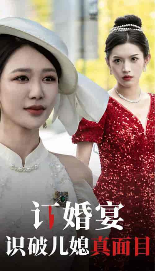 订婚宴识破儿媳真面目（30集全）柳甯 钟莹玲 - 傲图好剧