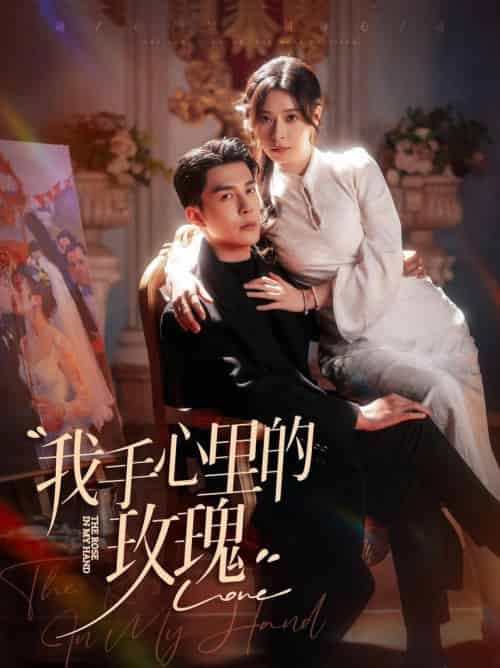 我手心里的玫瑰（91集全）李佳琛＆韩琪 - 傲图好剧