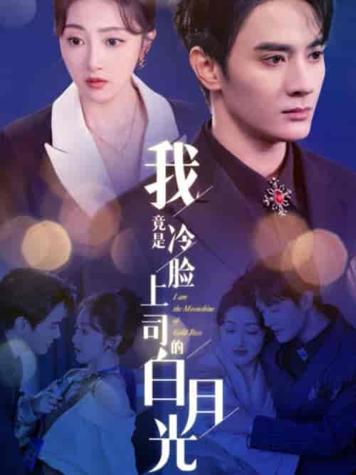 我竟是冷脸上司的白月光（80集全）陈冠峄＆海依凡 - 傲图好剧