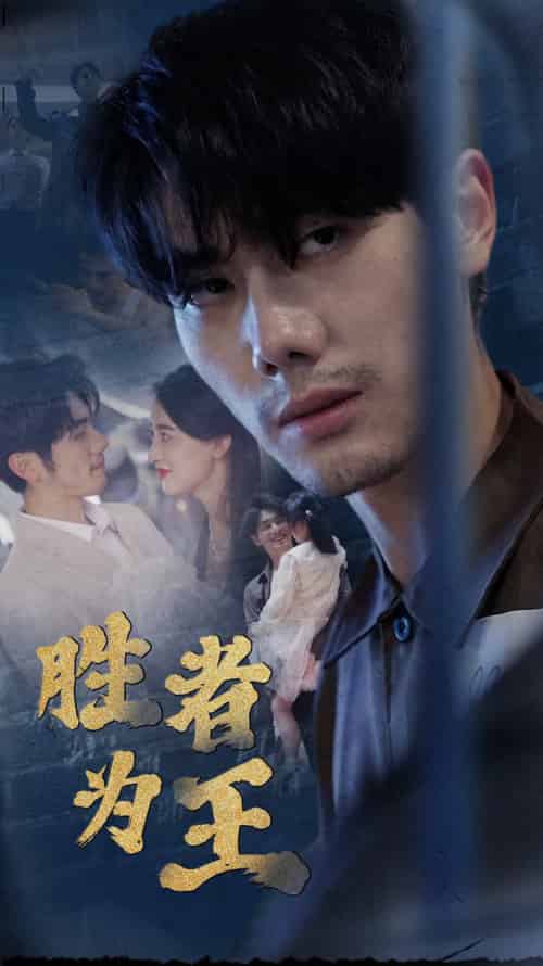 新：胜者为王（78集全） - 傲图好剧