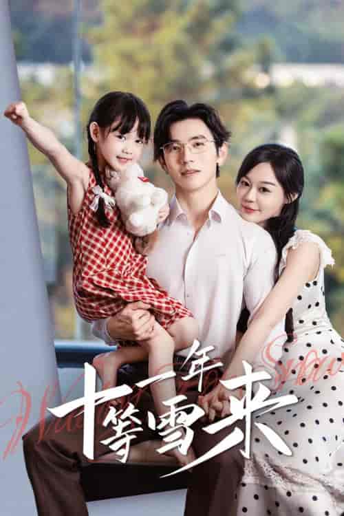 十一年等雪来（50集全）赵冠宇＆蔚琳 - 傲图好剧