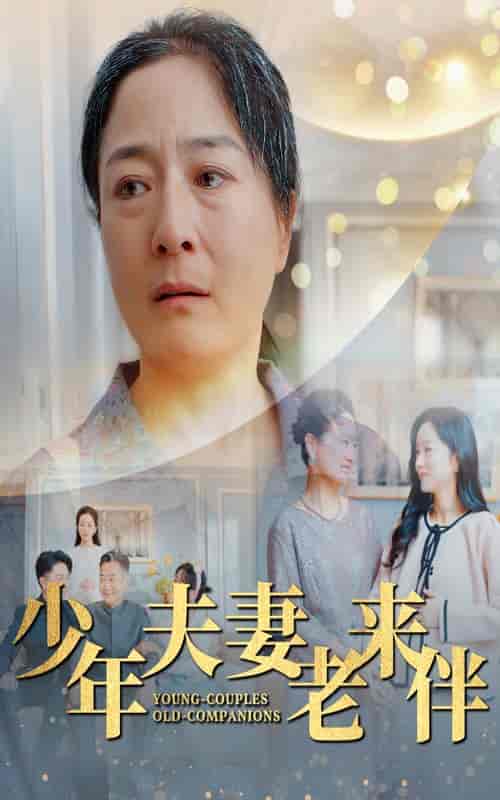 少年夫妻老来伴（34集全） - 傲图好剧