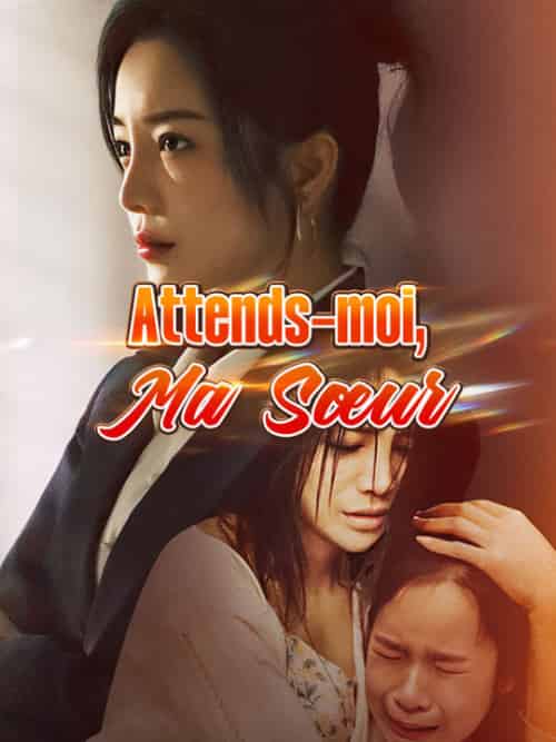 Attends-moi, Ma Sœur（60集全）Didier＆Leroy＆Marine＆Jacquet - 傲图好剧