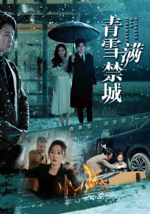 青雪满禁城（51集全）陈聿修＆刘亚倩 - 傲图好剧