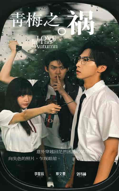 青梅之祸 青梅之祸