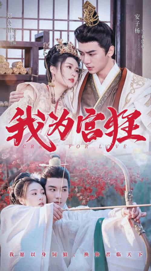 我为宫狂（59集全）安子杨＆郑晨雨 - 傲图好剧