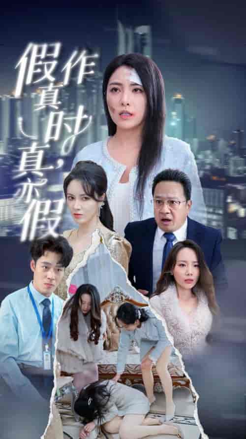 假作真时真亦假（45集全） - 傲图好剧