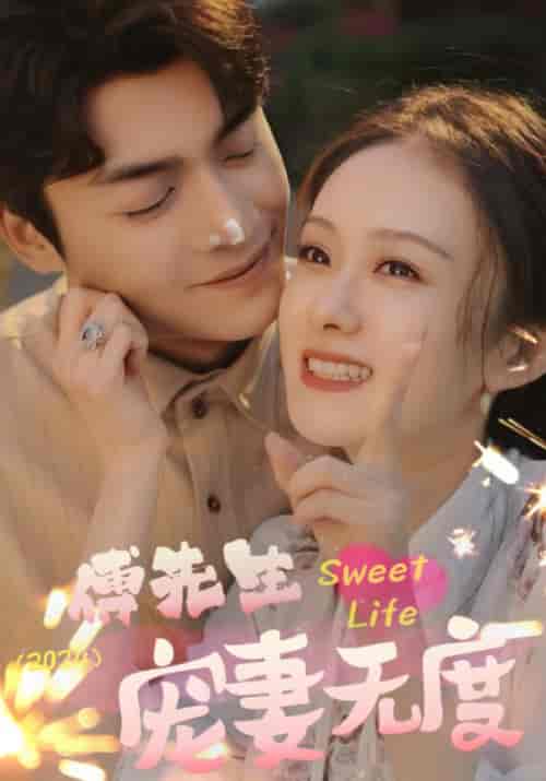 傅先生宠妻无度 傅先生宠妻无度