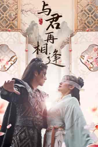 与君再相逢（70集） - 傲图好剧