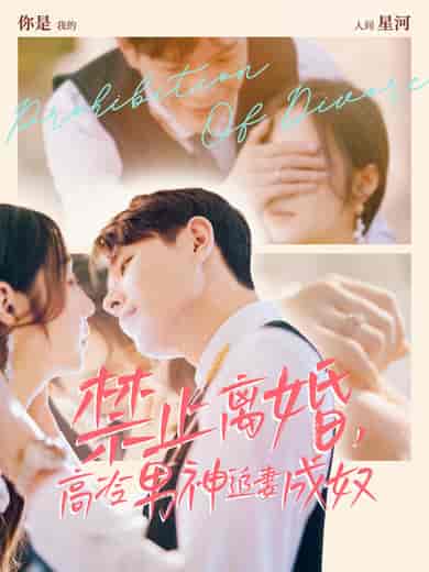 禁止离婚，高冷男神追妻成奴（57集全）王鑫＆秦语喃 - 傲图好剧