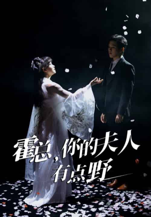 霍总，你的夫人有点野（51集全）霍君霆＆江小宁 - 傲图好剧