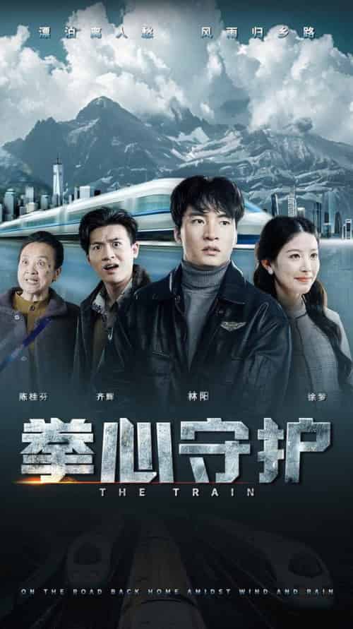 拳心守护（28集全）谭雯文 - 傲图好剧