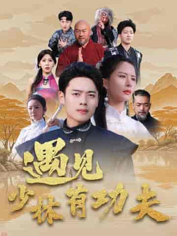 遇见少林有功夫（36集全）韩傲天 - 傲图好剧