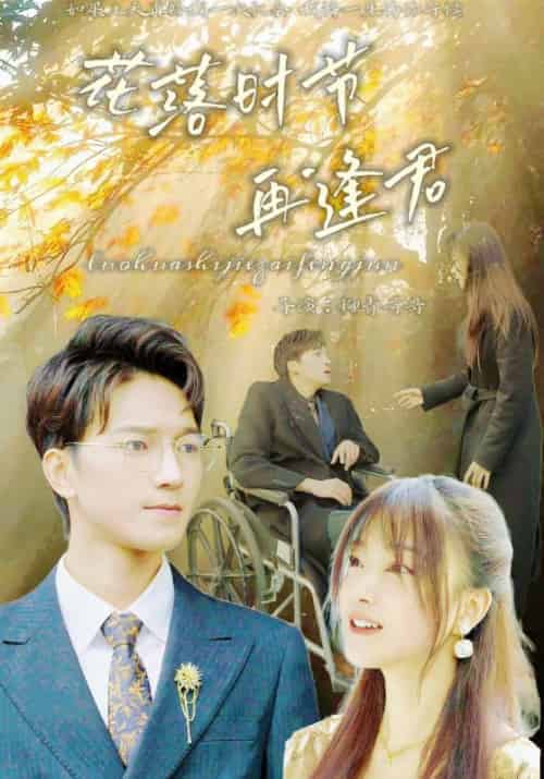 花落时节再逢君（82集全）季廷琛＆陆芊芊 - 傲图好剧
