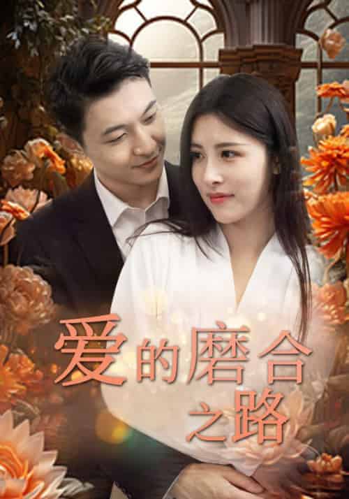 爱的磨合之路（73集全）南宫炎＆沐婉 - 傲图好剧