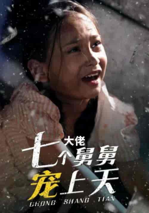 七个大佬舅舅宠上天（30集全）萧顺乾＆团团 - 傲图好剧