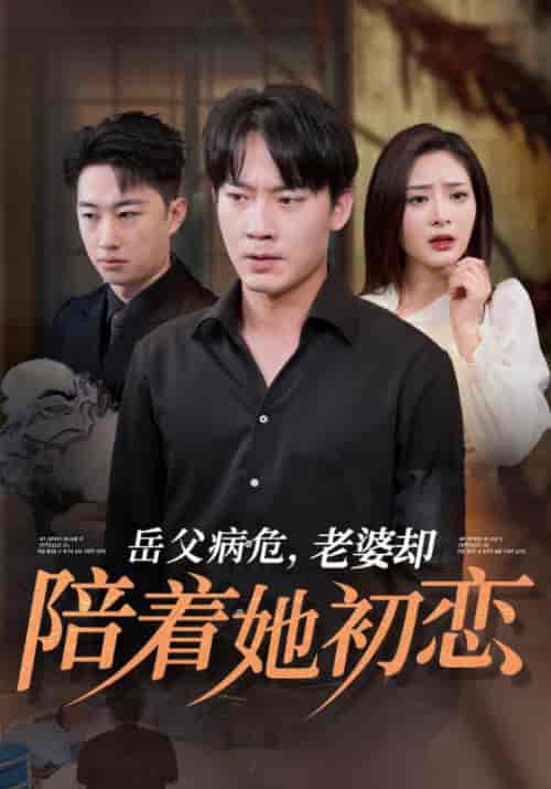 岳父病危，老婆却陪着她初恋（31集全）陆峰白＆宋绮梦 - 傲图好剧
