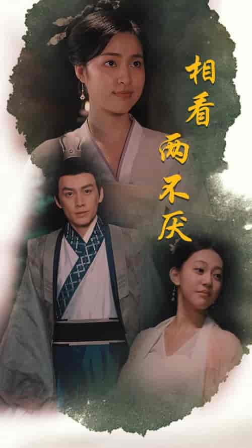 相看两不厌&这个王妃不好惹(85集)