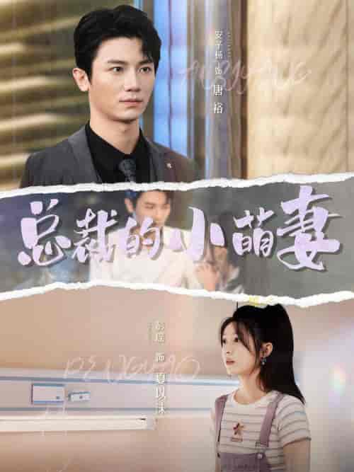 总裁的小萌妻（89集全）彭瑶＆安子杨 - 傲图好剧