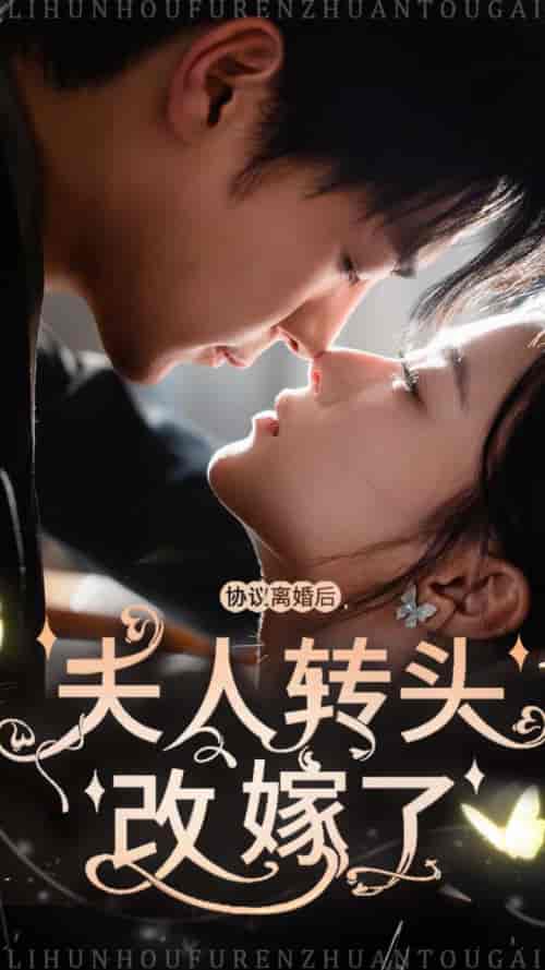 协议离婚后夫人转头改嫁了（63集全） - 傲图好剧