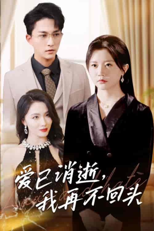 爱已消逝我再不回头（31集全）李家圆子 - 傲图好剧