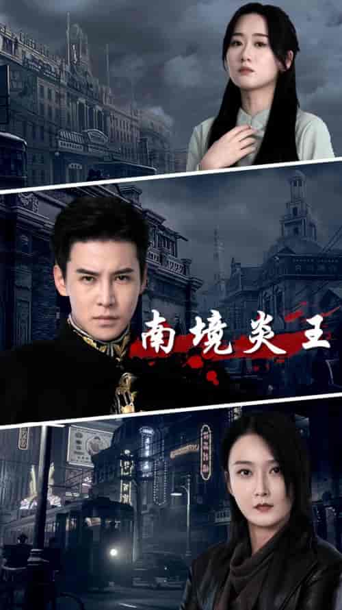 南境炎王（80集） - 傲图好剧