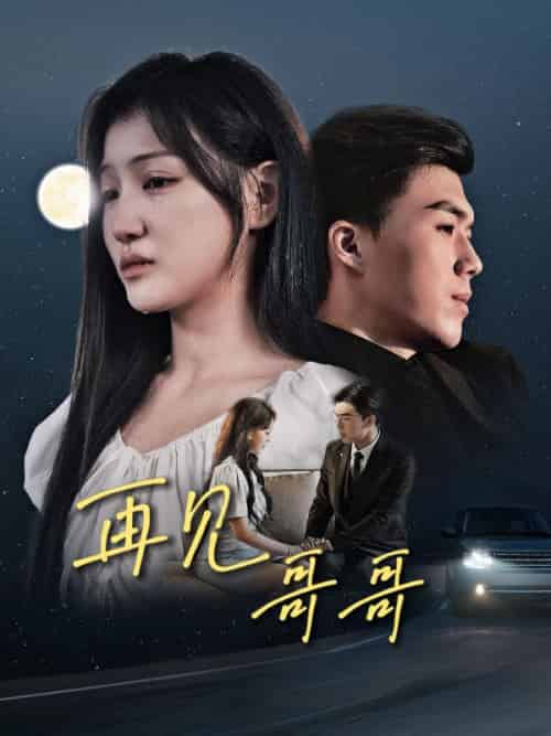 再见哥哥（29集全）乔司南＆乔欣语 - 傲图好剧