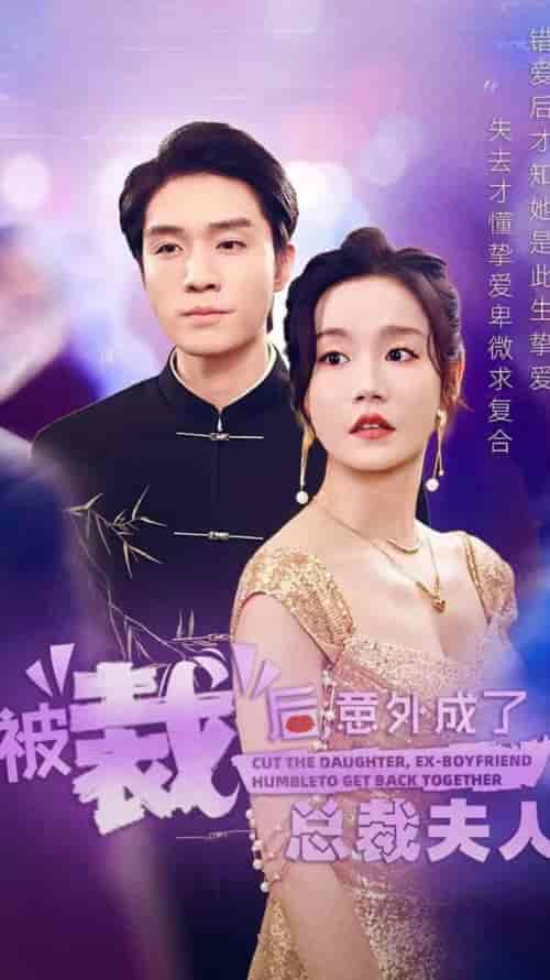 被裁后，意外成了总裁夫人（70集全）汤圆 - 傲图好剧