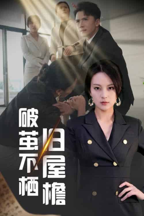 破茧不栖旧屋檐（30集全）赵志盟＆伍怡 - 傲图好剧