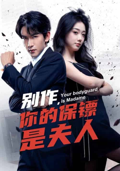 别作,你的保镖是夫人 别作,你的保镖是夫人
