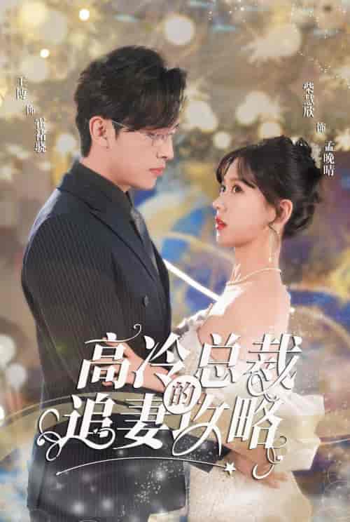 高冷总裁的追妻攻略 高冷总裁的追妻攻略