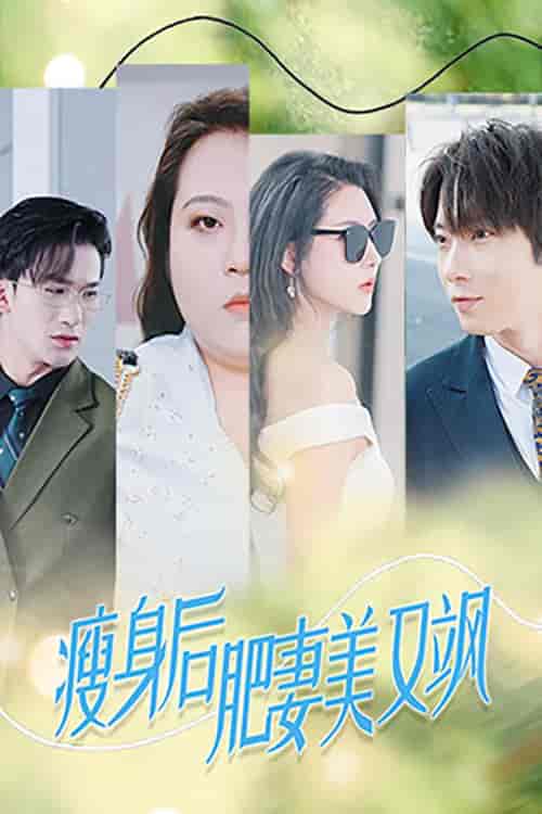 瘦身后肥妻美又飒（52集全）秦天爱＆张乃歌 - 傲图好剧