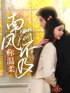 南风不及你温柔（74集全）谢鸿鑫＆李丫丫 - 傲图好剧