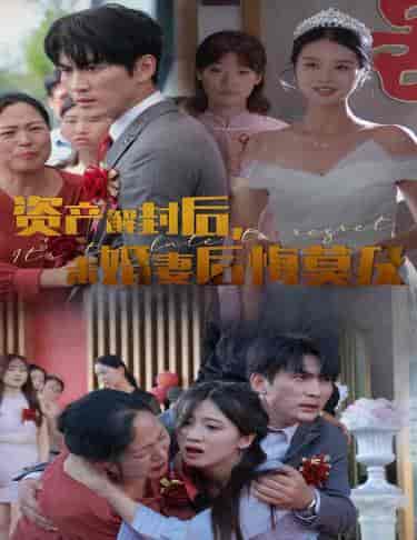 资产解封后，未婚妻后悔莫及＆新版：破茧（60集全） - 傲图好剧