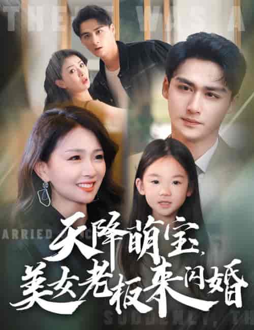 天降萌宝美女老板来闪婚（80集全） - 傲图好剧