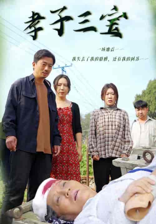 孝子三宝（50集全）苏晨＆刘淑珍 - 傲图好剧