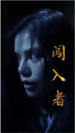 闯入者（51集） - 傲图好剧