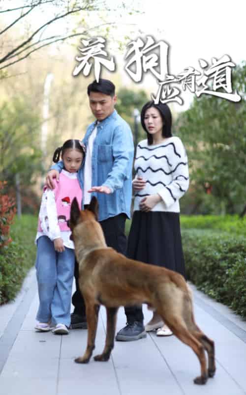 养狗应有道 养狗应有道