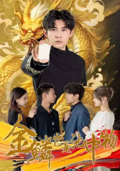 金鳞岂是池中物（100集全）齐轩＆潘悦然 - 傲图好剧