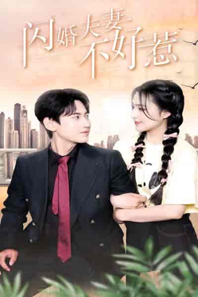 闪婚夫妻不好惹（90集）宋彧佳 - 傲图好剧