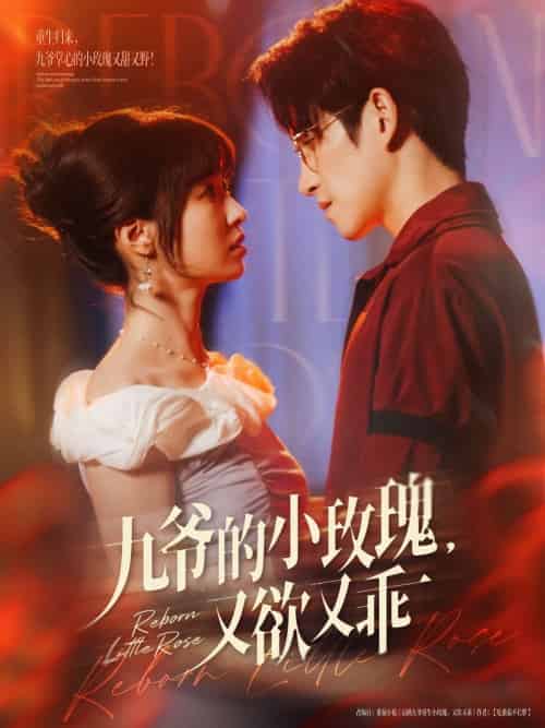九爷的小玫瑰又欲又乖（80集）林可汉＆陆元 - 傲图好剧