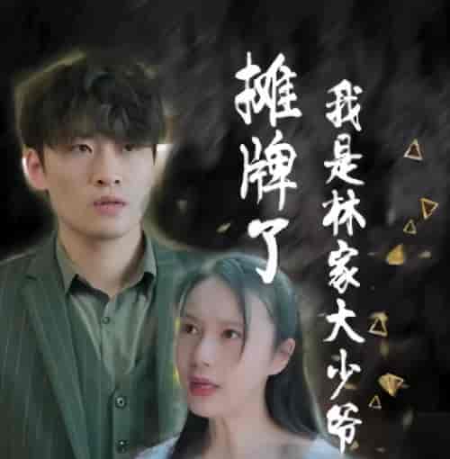 摊牌了,我是林家大少爷 摊牌了,我是林家大少爷