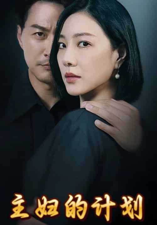 主妇的计划（84集全）肖建安＆周静 - 傲图好剧