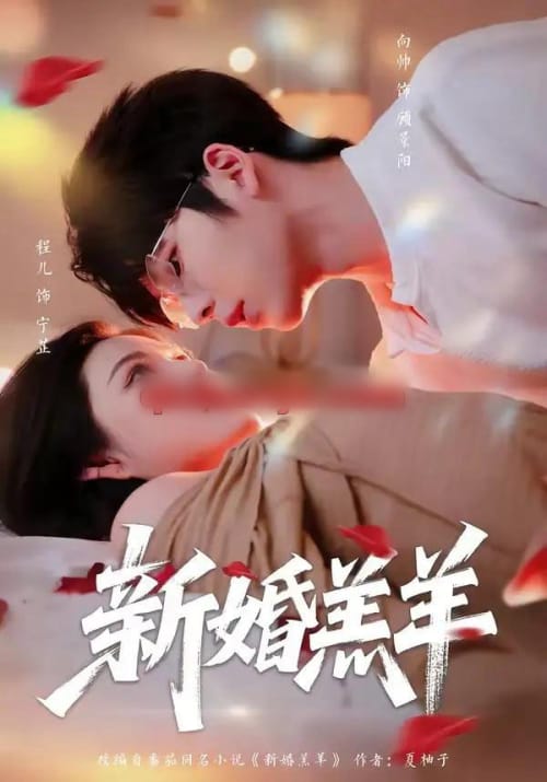 新婚羔羊（89集全）向帅＆程儿