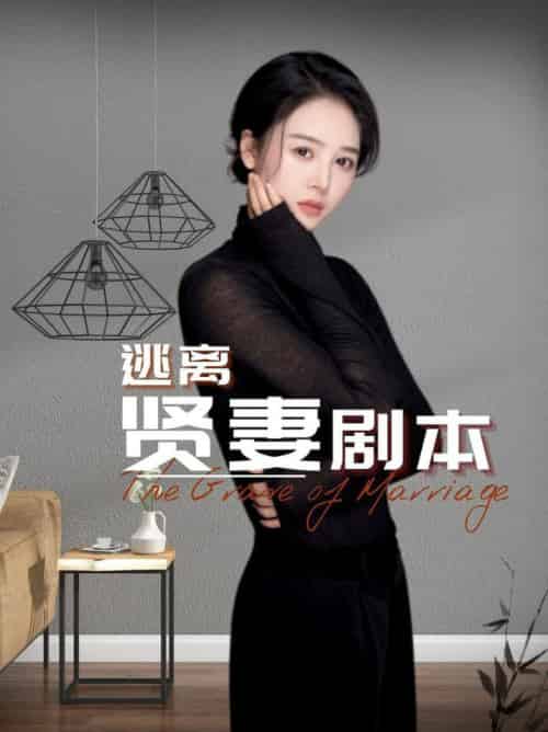 逃离贤妻剧本（33集全）顾佳慧 - 傲图好剧
