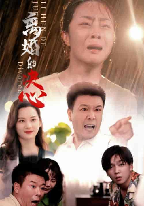 离婚的决心（48集全）赵建军＆李秀华 - 傲图好剧