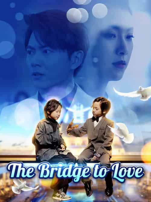The Bridge to Love（80集全）Jay＆Irwin＆＆Amber＆Clark - 傲图好剧