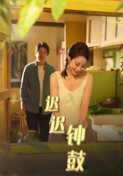 迟迟钟鼓（64集全）林勇＆谢雯丽 - 傲图好剧