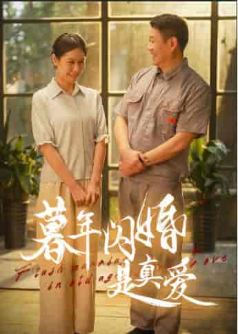 暮年闪婚是真爱（36集全） - 傲图好剧